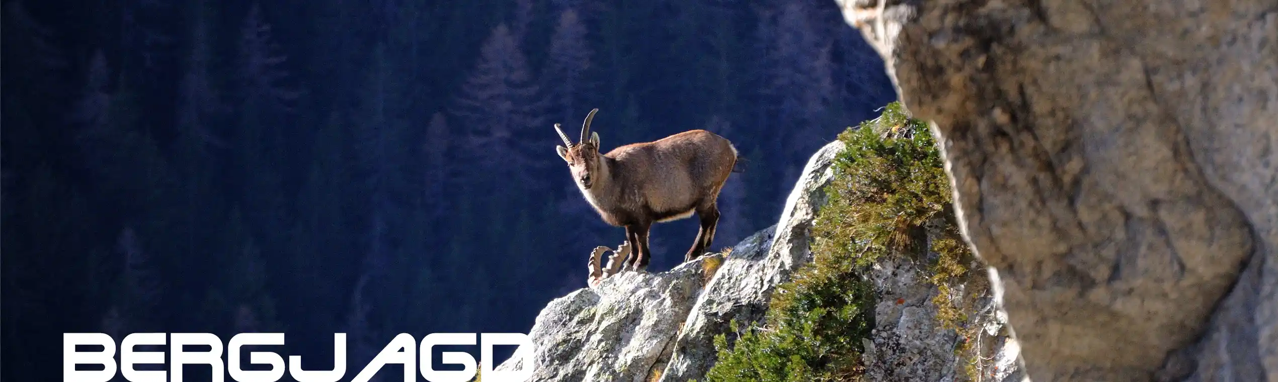 Ferngläser für die Bergjagd