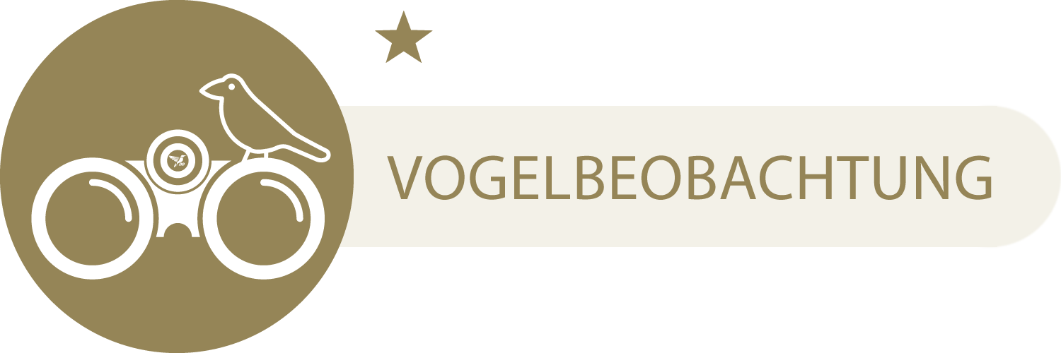 Vogelbeobachtung - 1 Stern Fernglas eignet sich weniger für Vogelbeobachtungen