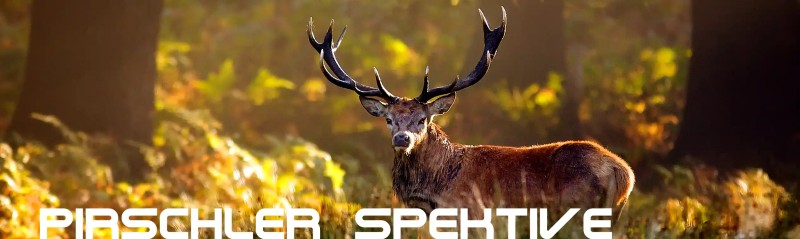 Pirschler Spektive von DDoptics