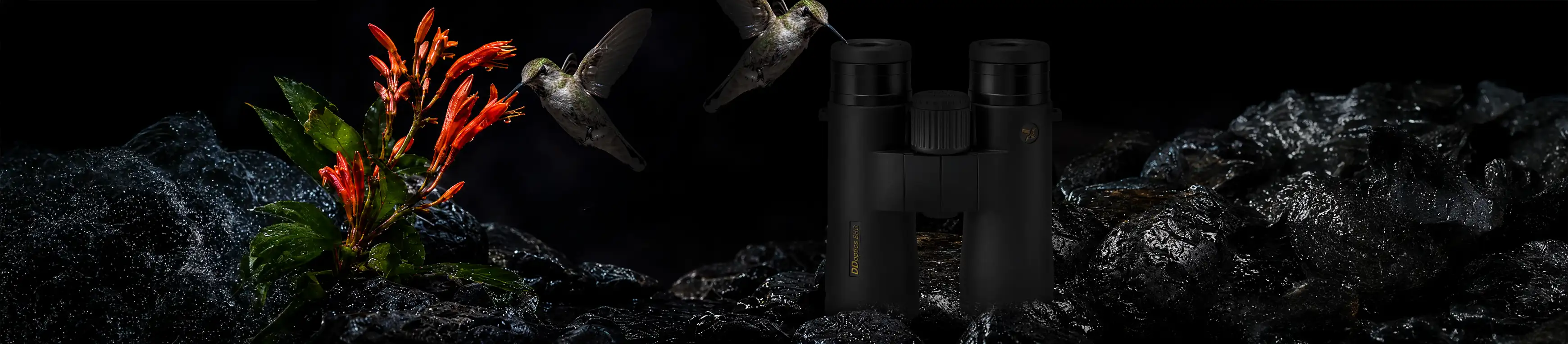 DDoptics SHG Premium-Fernglas mit Kolibris und Blüten auf nassen Steinen