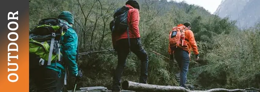 Wanderer mit Rucksäcken auf einem Waldweg in den Bergen
