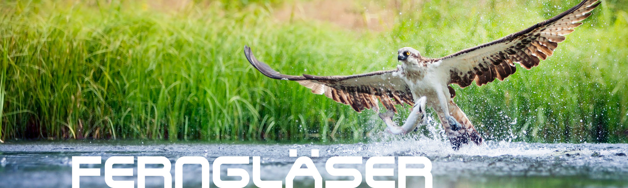 media/image/DDoptics_Landingpage_Fernglaeser_Banner.jpg