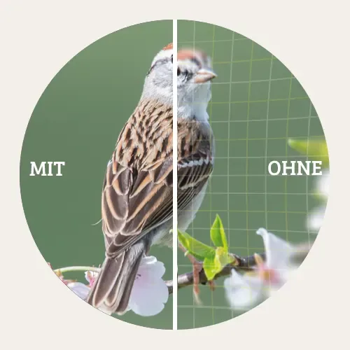 Field-Flattener-Optik der DDoptics SHG-Reihe