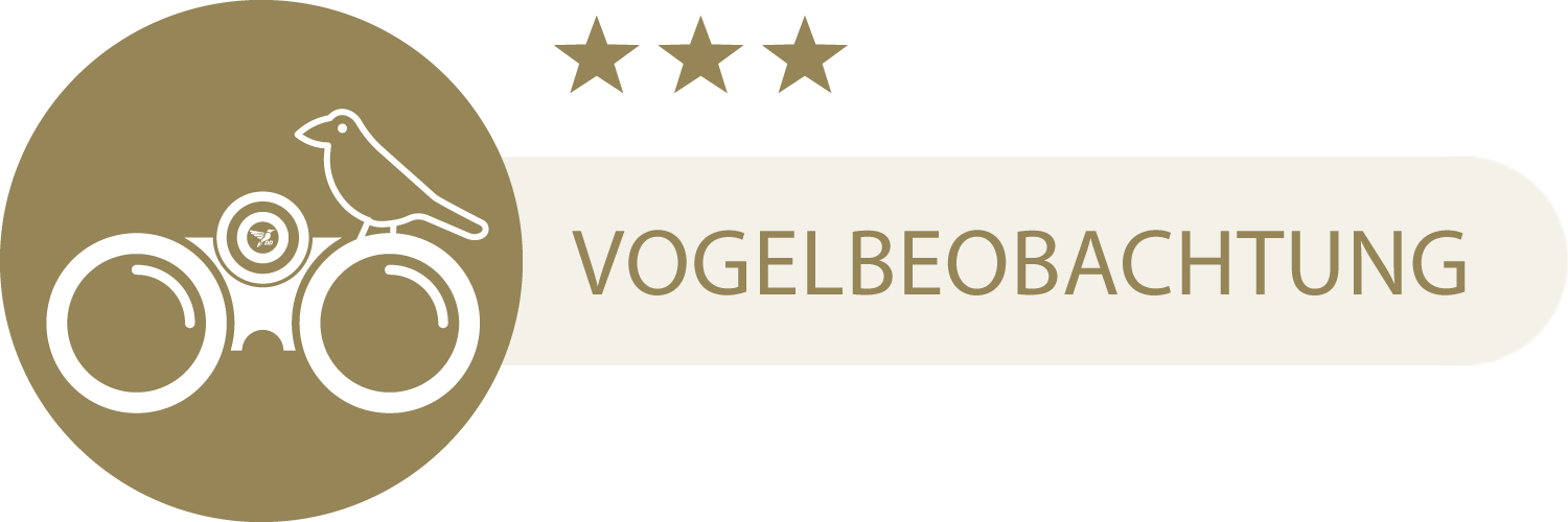 Vogelbeobachtung - 3 Sterne Fernglas eignet sich gut für Vogelbeobachtungen