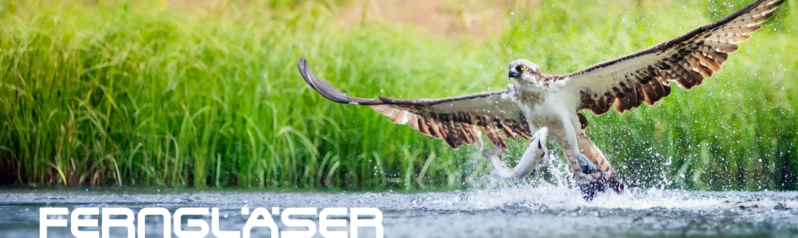 Ferngläser für Naturbeobachtungen und Jagd