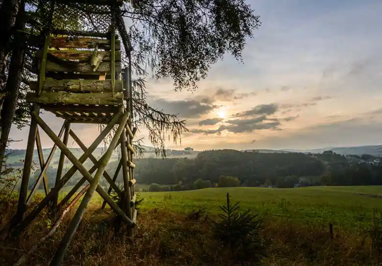 Ferngläser für die Nacht- und Ansitzjagd