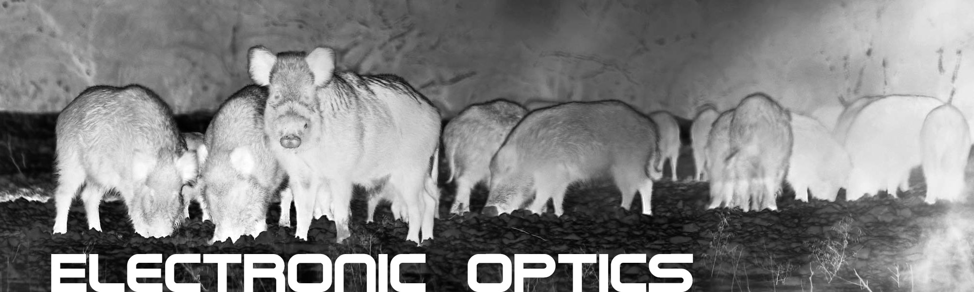 media/image/DDoptics_Electronic_Optics_Banner.jpg