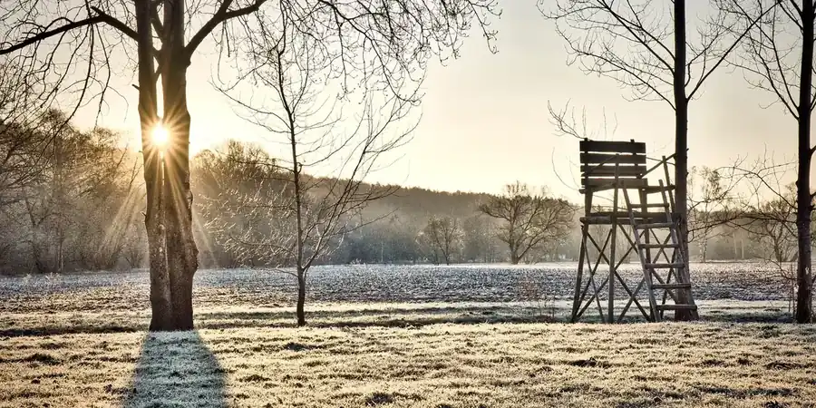 Hochsitz im winterlichen Morgenlicht für die Ansitzjagd