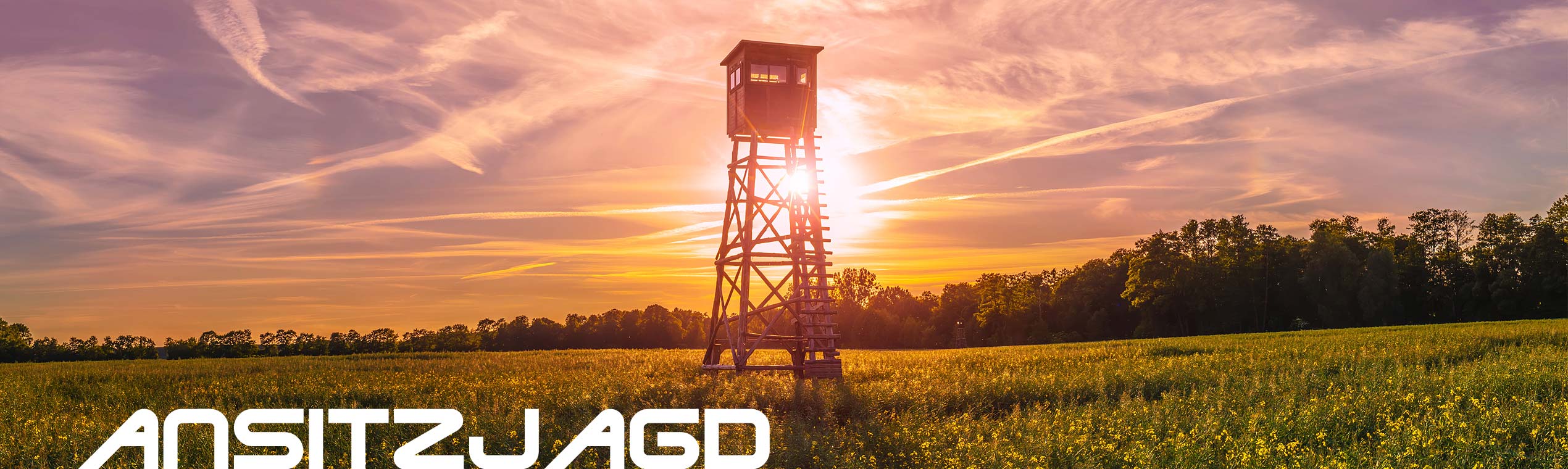Zielfernrohre für die Ansitzjagd