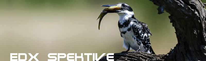 media/image/DDoptics_Spektive_EDX_Banner.jpg