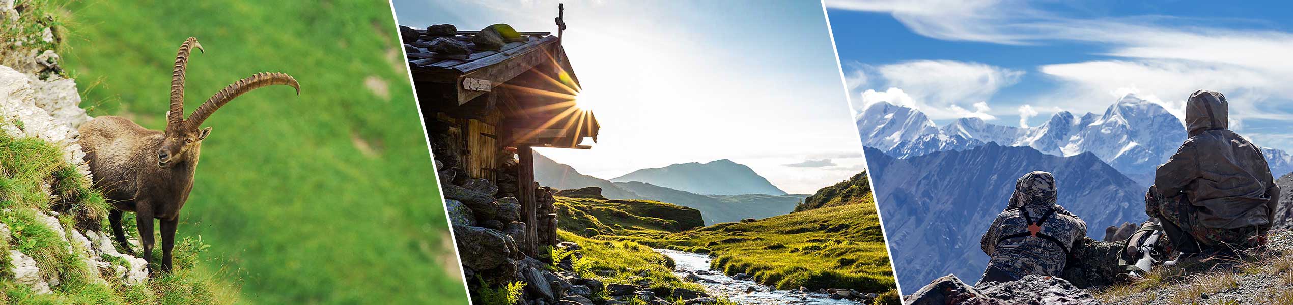 Binoculars for mountain hunts