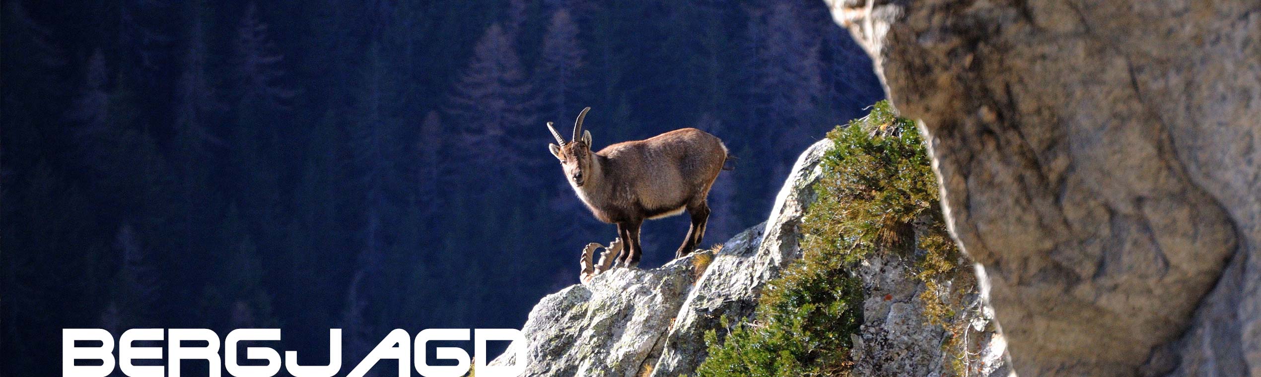 Ferngläser für die Bergjagd
