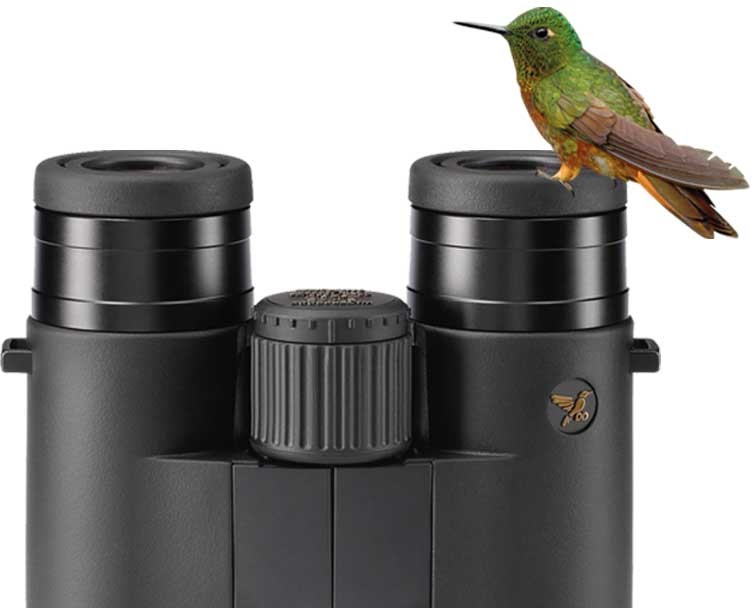 media/image/DDoptics_SHG_mit_Vogel.jpg