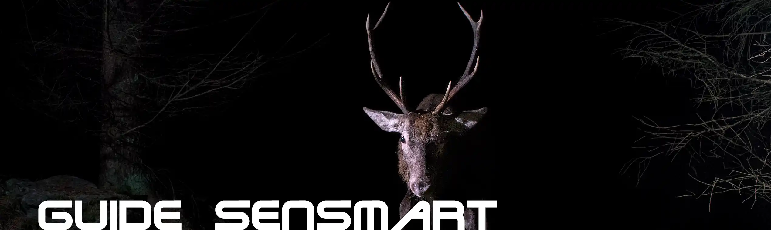 Wärmebildkameras von Guide sensmart Wärmebildkameras von Guide sensmart