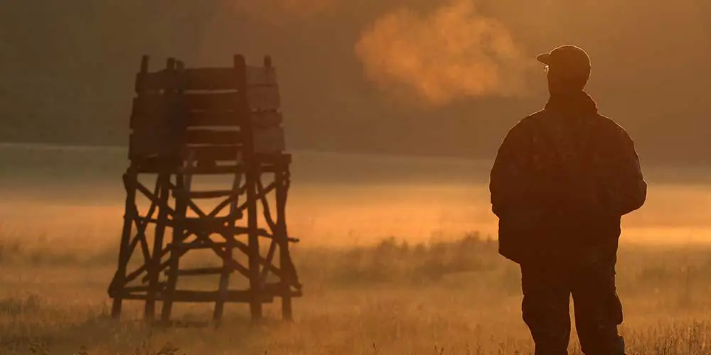 Rifle scopes for hide hunting