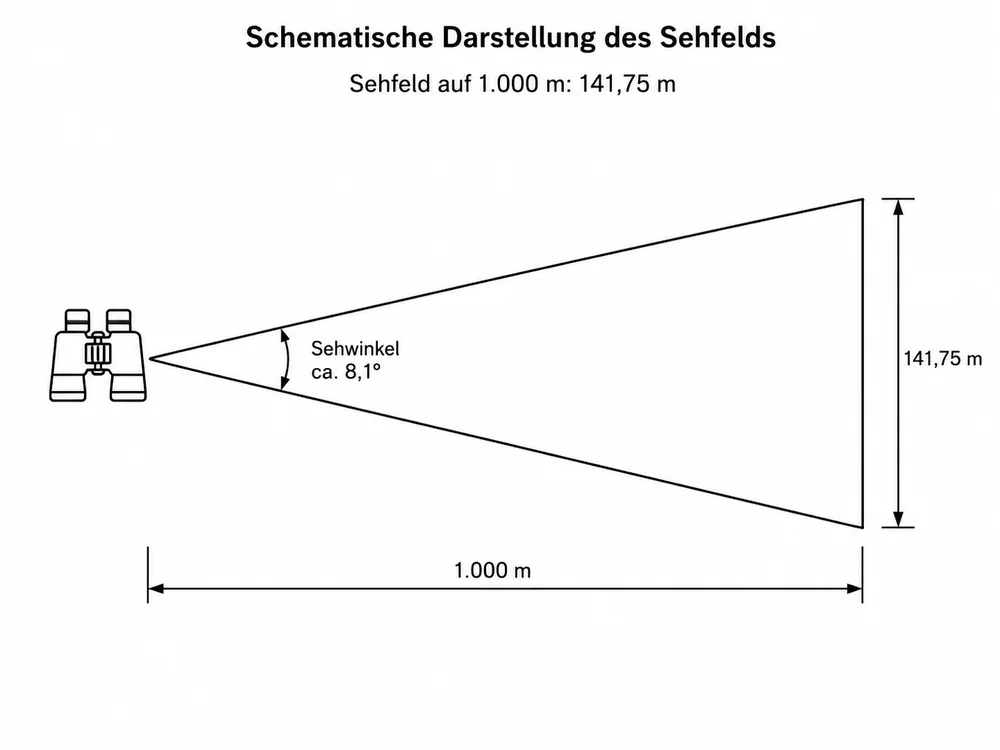 Schematische Darstellung des Sehfeldes des DDoptics SHG
