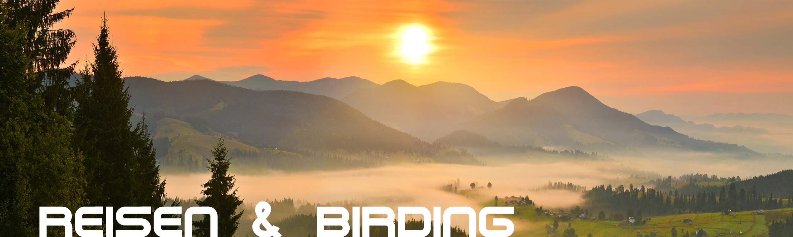 Ferngläser für Reisen & Birding