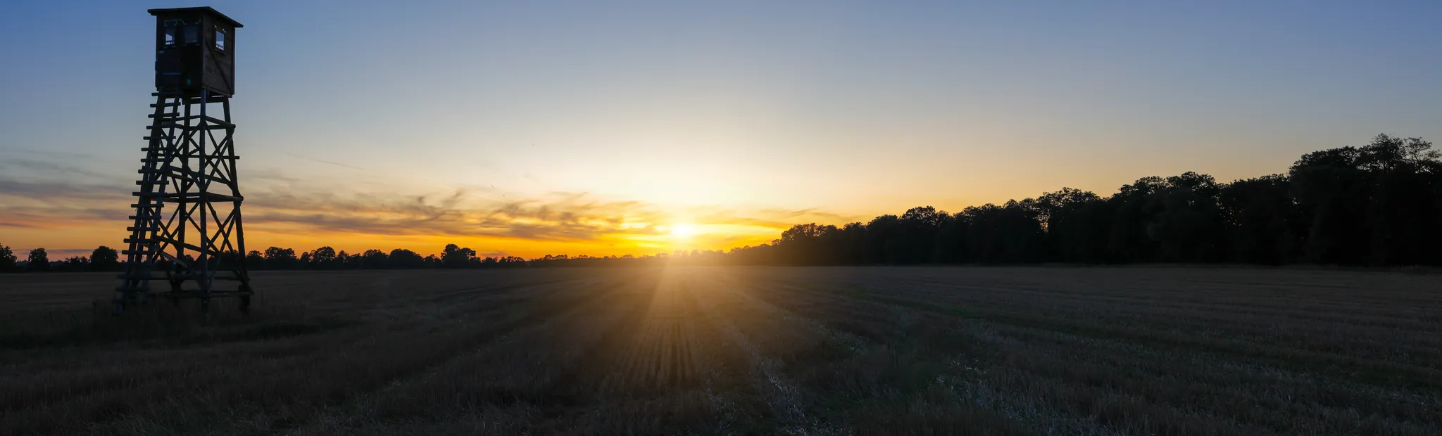 Hochsitz im weiten Feldrevier bei untergehender Sonne
